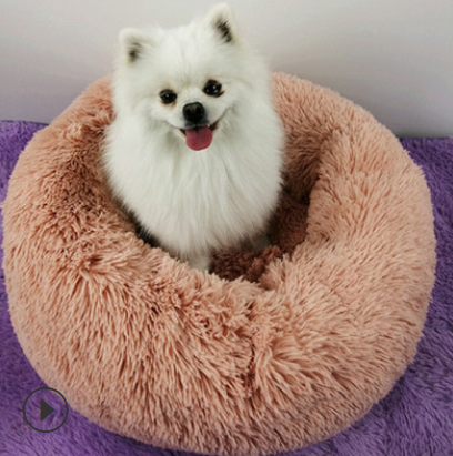 Canine Comfort Luxury Dog Beds for Your Best Friend